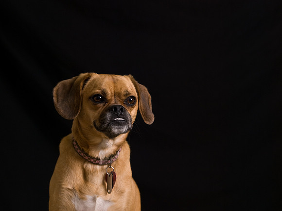 PB039730