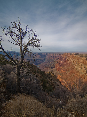 Desert View 2