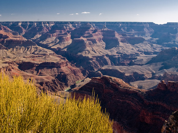 Grand Canyon Sunrise and Grass