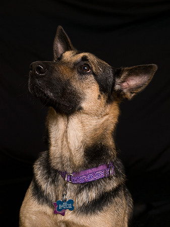 PB039852