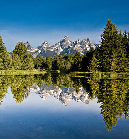 Teton Reflection