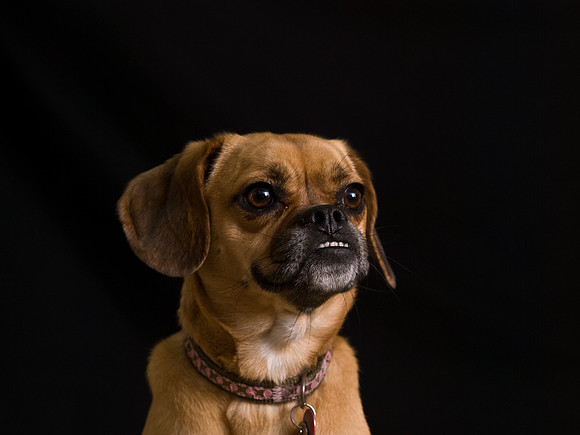 PB039724