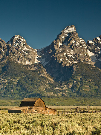 Mormon row barn portrait