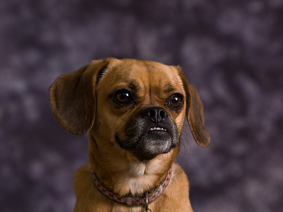 PB039717