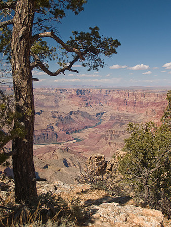 Desert View