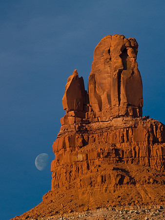 Butte and Luna at Sunrise