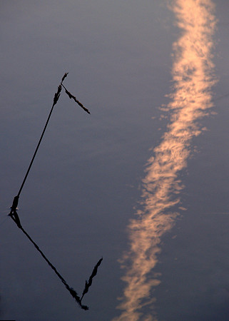 Kinzua Reflection