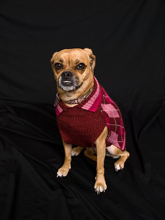PB039761