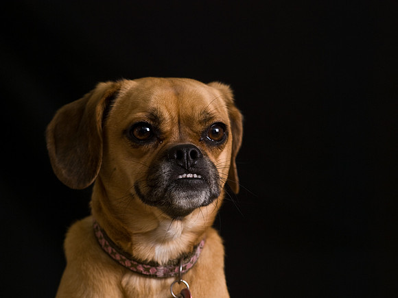 PB039728