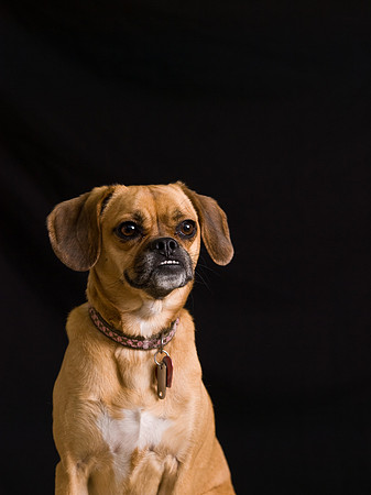 PB039726