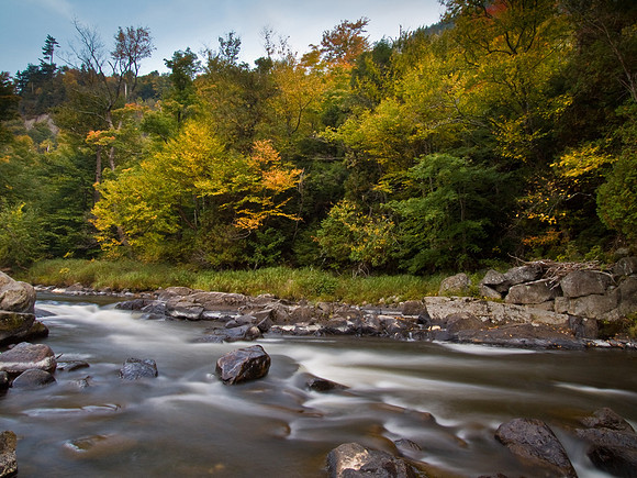 Autumn Rush