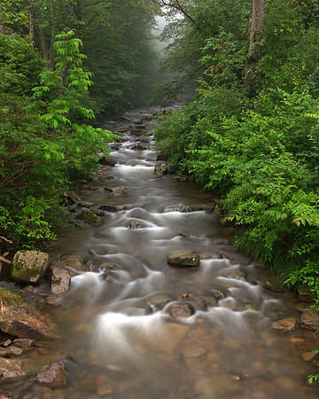 Early Stream