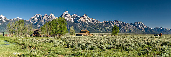 Mormon Row Panoramic