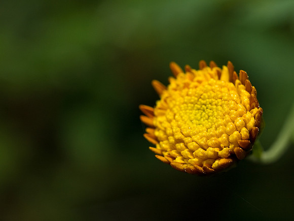 PB046408-66