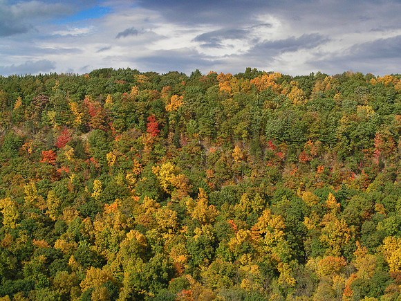 Autumn in Letchworth