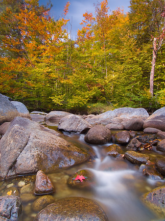 Ausable Stream