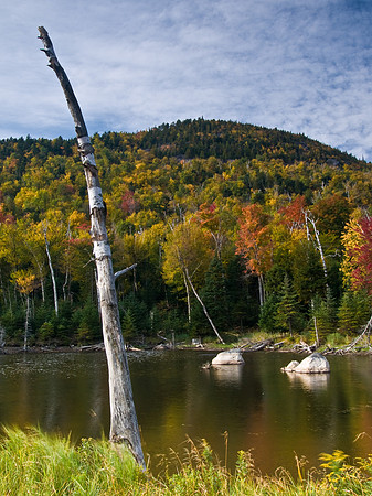 Whiteface lake