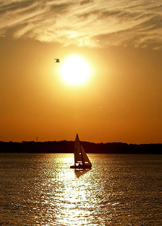 Sunset Sailboat