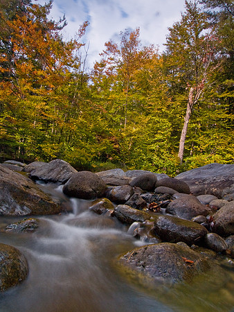 Ausable Stream 2