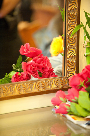 Salon-22